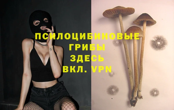 амф Заволжье
